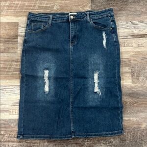 Denim Distressed Skirt